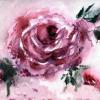 Light Watercolor Rose - Watercolors
Â© Kathryn A. Barnes, artist